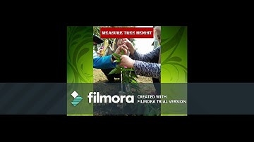 UTM SGHG4583. Tree Inventory Using QR Code & ArcGIS Survey123: Team Bumi Hijau Group