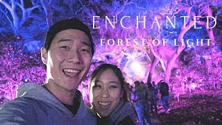 ENCHANTED FOREST OF LIGHT (2017) - DESCANSO GARDEN
