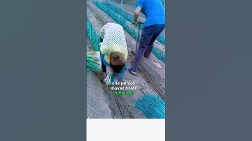 Plant Onions Fast with This Simple 2-Person Tool #smartgadgets #smartfarming #planting #shorts #usa