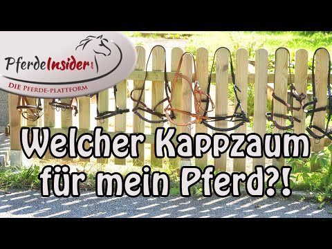 Video: Was ist ein Kappzaum?