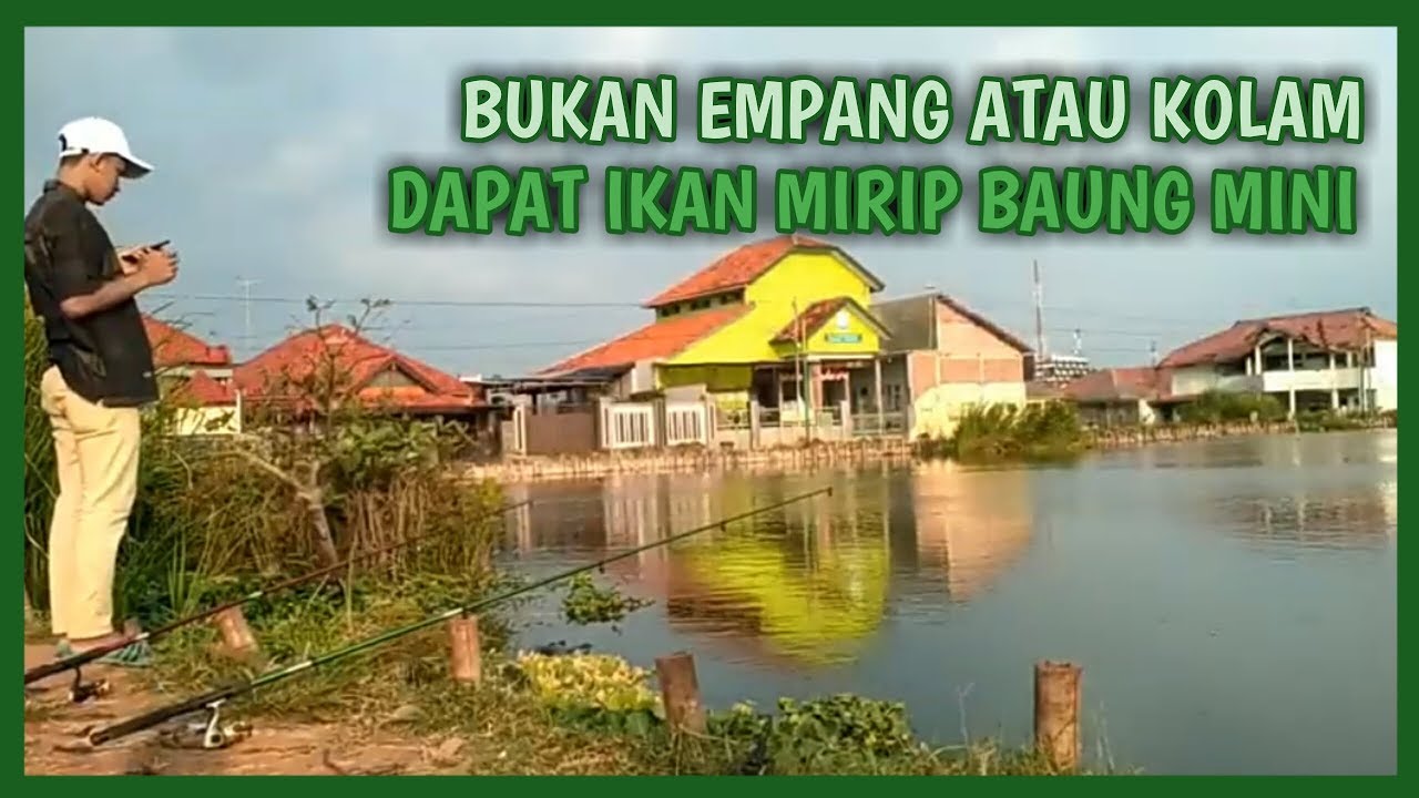 Umpan Jitu | Mancing Ikan Mujair Di Danau Kecil