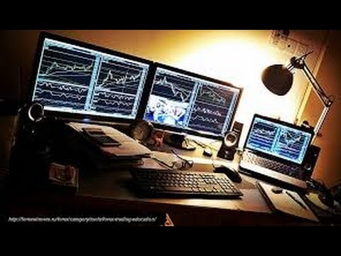 Japanese housewife forex trader