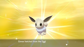 {Friend Quest #1+#2} LIVE Shiny Eevee (Masuda Method) after 554 eggs!!! (Shiny Umbreon + Toxtricity)