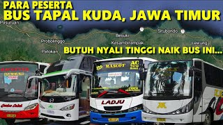 MENGENAL 34 PO BUS DI TAPAL KUDA JAWA TIMUR👉Jalur Paling Timur Pulau Jawa