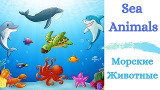 Морские животные по-английски/ Sea animals