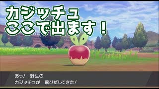 ソード シールド カジッチュ ポケモン