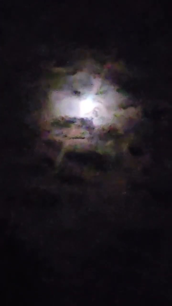 The Moon