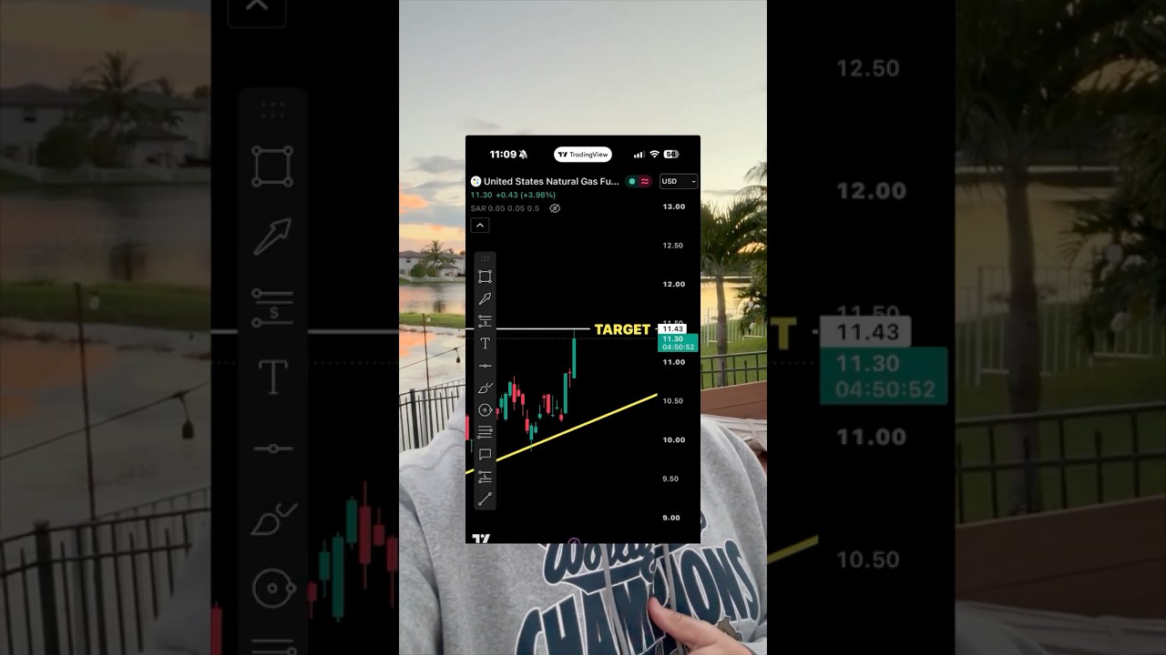 The Only Trading Academy You'll Ever Need #trading #investing #shorts