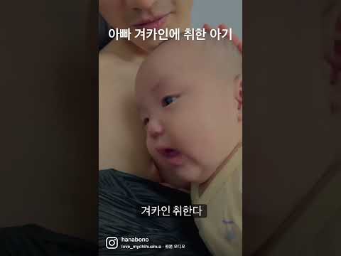 아빠 겨카인에 취해버린 아기 #오꼬 #오꼬가족 #shorts