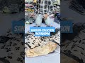 Viral butterfly lehenga 🦋🦋🦋 only 495 sanjeeda collection ambala city