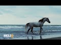 Saderat Bank Campaign Teaser 