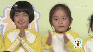 《智慧树》 20200710 宝贝2+1| CCTV少儿