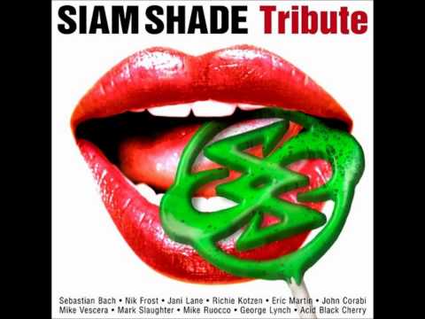 Siam Shade Tribute Triptych Alt Ver George Lynch
