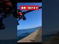 海老で鯛を釣る #両軸遠投カゴ釣り