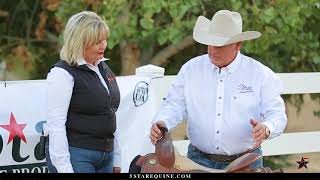 How To Choose The Right 5 Star Pad - 5 Star Equine Products