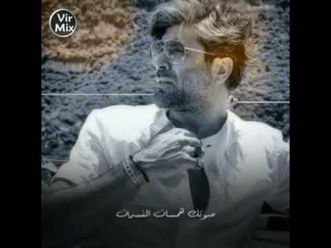 وائل كفوري يا أميرة كل النجمات