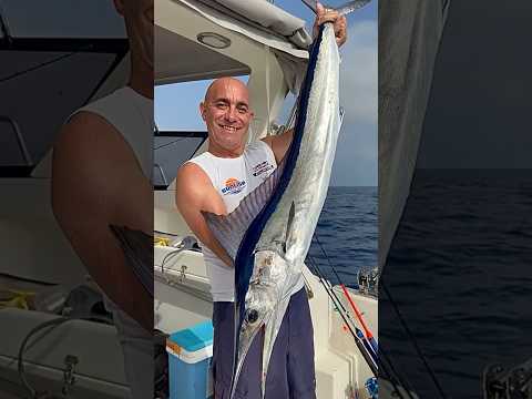 Aguglia imperiale: poesia in traina d’altura! 🌊💙#shorts #pesca #traina #billfish #fishing #biggame