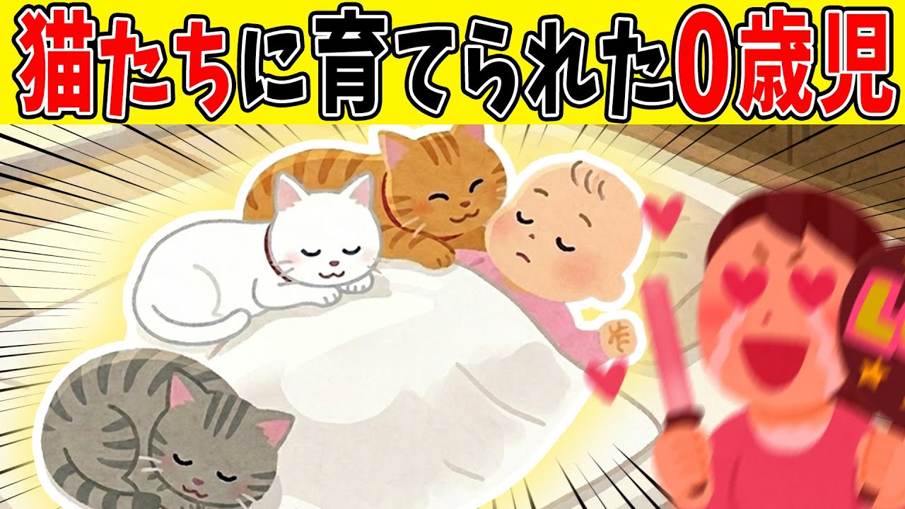 ㊗️10万再生突破【ほのぼの】うちの猫さん達が0歳児の世話をし過ぎた結果【ゆっくり】