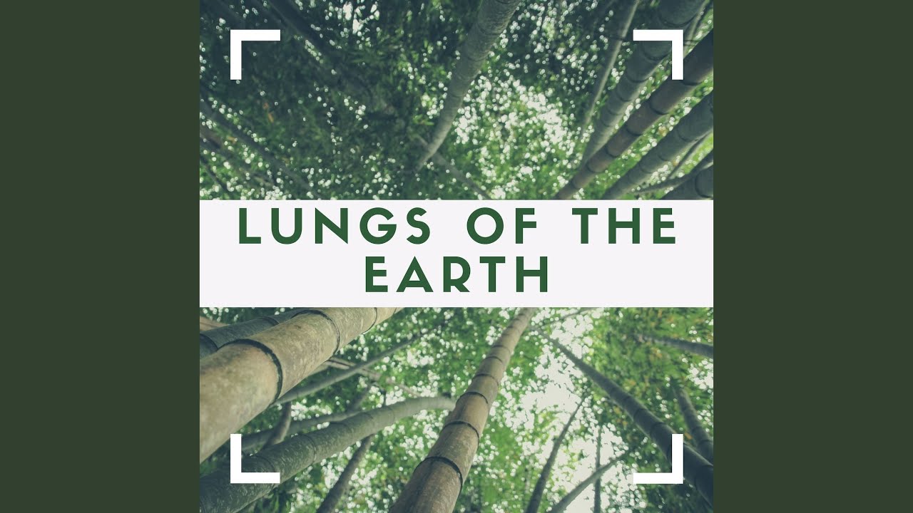 Anthem for the Amazon