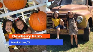 BEST PUMPKIN PATCH in HOUSTON, TX | DEWBERRY FARM FALL FESTIVAL