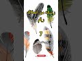 رساله من الملاك رقم 7 رساله من الملاك رقم 7