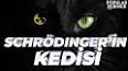 Kuantum Mekaniğinin Gizemi: Schrödinger'in Kedisi ile ilgili video