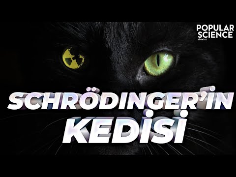 Video: Schrödinger Ne Için Bilinir?