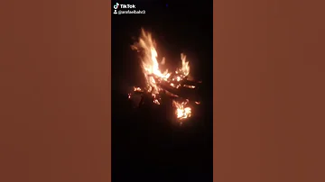 حالات محمد سلطان طول عمري شايل هم غير 