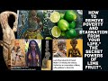 How to remove poverty and stagnation from your lifethe secret powers of lime fruit