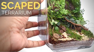 Learn to build a scaped moss wall terrarium
