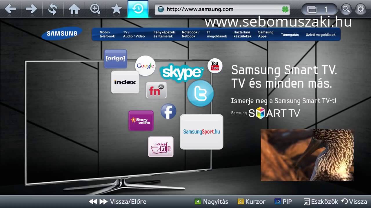 Samsung Tv Browser