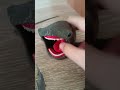 Мой так сказать комплект фигурок