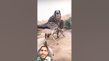 Al-lkhlas#egzonibrahimi #سورة_الإخلاص #ikhlas #nature #shortvideo #fypviralシ #beautiful #maanvlogs