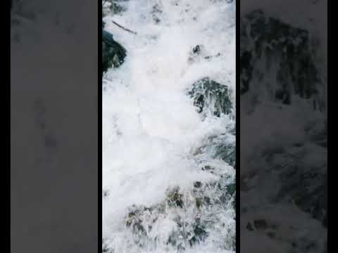 موسيقى الرصاصة لا تزال في جيبي عمر خورشيد