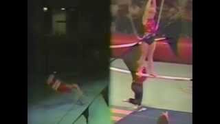 Gym Wheel, Double High Bar, Skypole