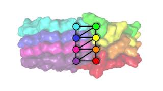 Network-Based Classification and Modeling of Amyloid Fibrils