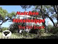 Natchez mississippi