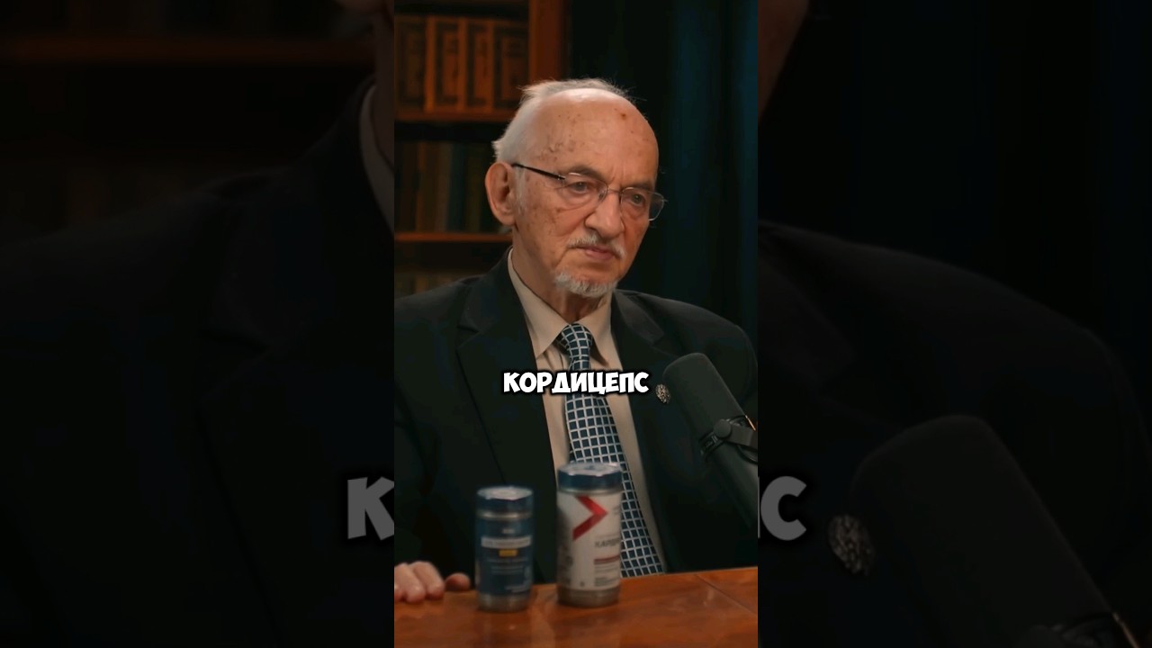 Профессор про ежовик и кордицепс | Глеб Соломин