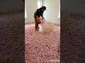 Watch Thousands of Petals Turn Into Glass Floor 🌸