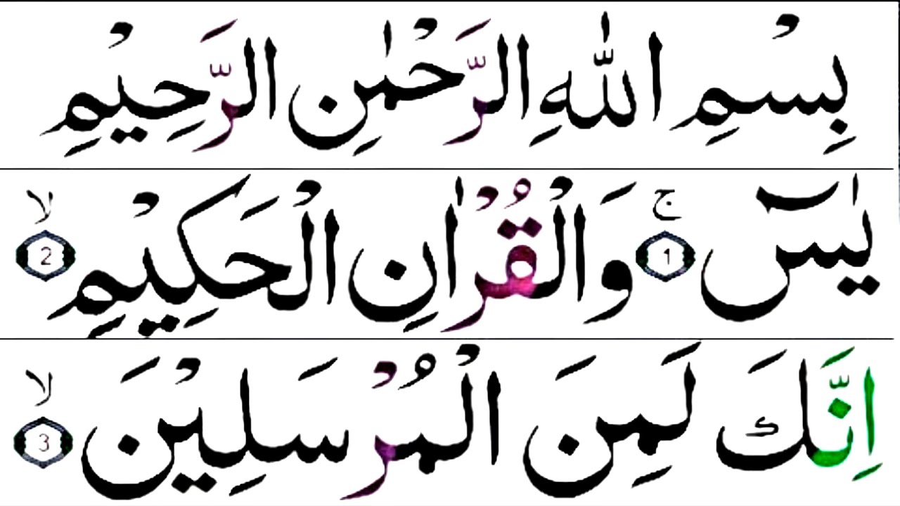 Surah Yaseen Recitation | Daily Quran Tilawat |Yaseen Full