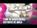 Știri: Tone de margarină, distruse de ANSA /Incendiu în zona Circului /11.12.2025
