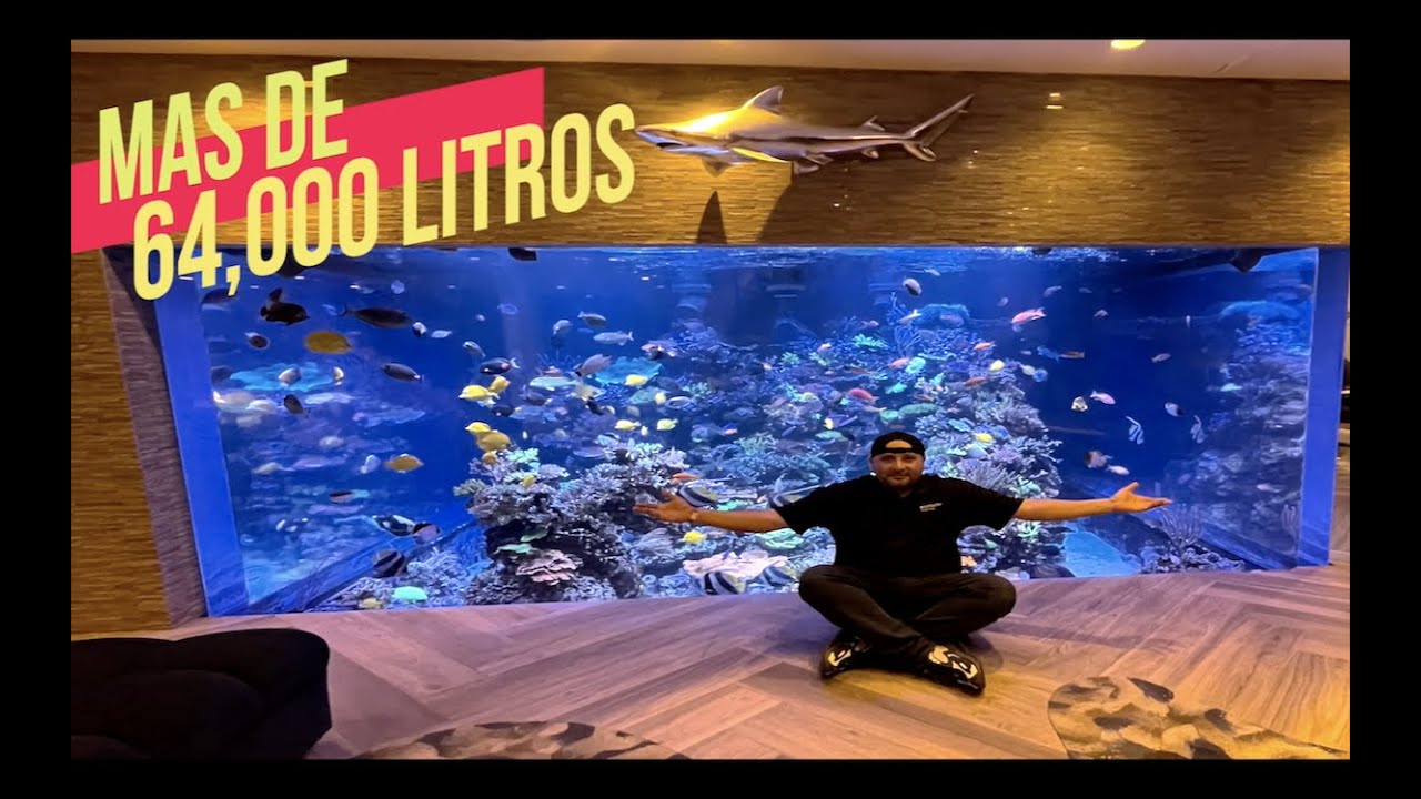 EL ACUARIO DE ESTA CASA ES EL MAS GRANDE DE AMERICA||||||😱🐠🐠 - YouTube