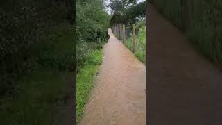 اللهم صيبا نافعا