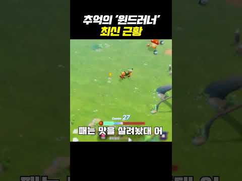 추억의 윈드러너 최신 근황