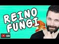 REINO FUNGI - FUNGOS - Aula Completa | Biologia com Samuel Cunha