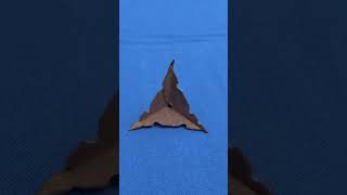 WWII tire spike, or caltrop - Clandestine sabotage against the German army - 1944