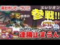 エレシオン参戦！！！速度33％リーダー＆アタッカーで殴るだけ戦法が今あまりにも強い！！！～勝ち量産体制～【サマナーズウォー】