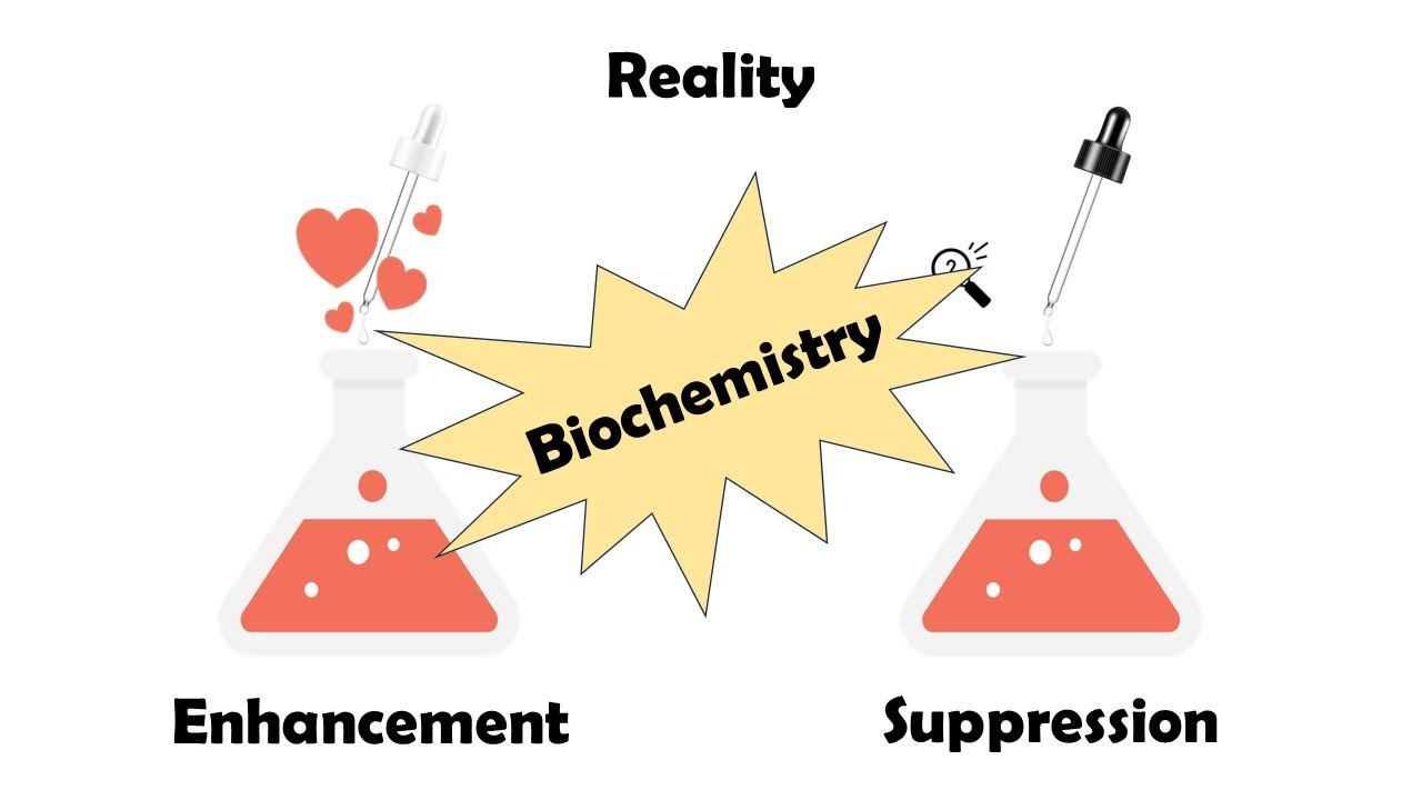 Why do Perfumes Smell Different from the Sum of their Parts? YouTube