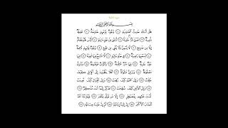 El-Gašijeh - analiza | Nermin Avdić | 2025.