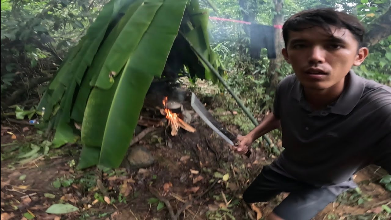 Rừng CAMPUCHIA ! Ngủ trong rừng mưa nhiệt đới Săn Cá Lóc 